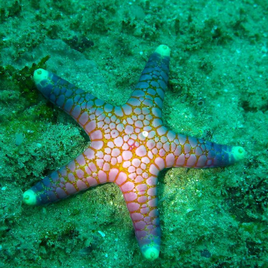 Seadina Coral Home Matara Bagian luar foto